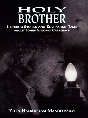 cover image of Holy Brother